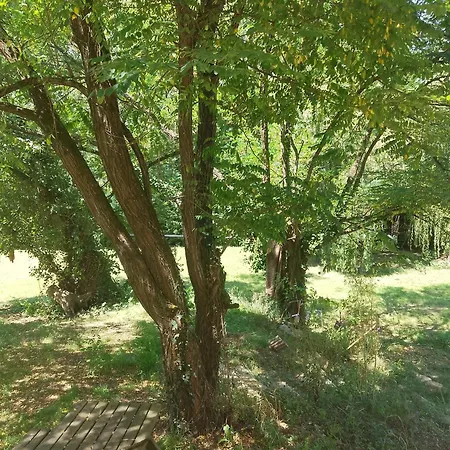 Chez Yves , 200 M Du Canal , 7 Min De Golfech , Parking Privé Et Gratuit , Rangement Vélo Fermés Pommevic