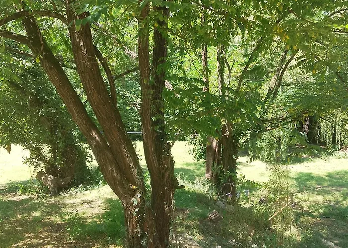 Chez Yves , 200 M Du Canal , 7 Min De Golfech , Parking Prive Et Gratuit , Rangement Velo Fermes Pommevic